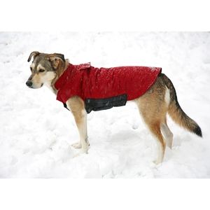 Arctic Expedition Reversible Doggie Parka sz 3X, C
